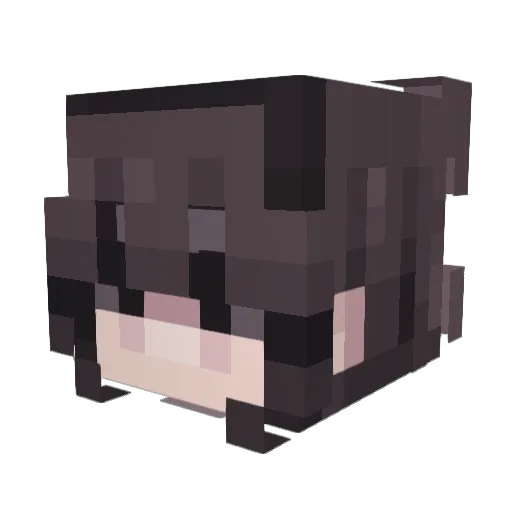 Mari112 Minecraft avatar head, 3D render