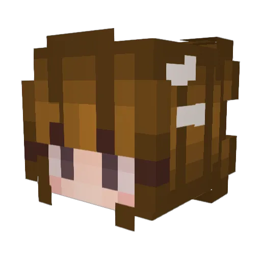 MariBurrito Minecraft avatar head, 3D render