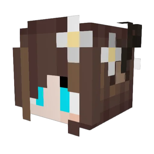 MariNovack Minecraft avatar head, 3D render