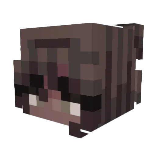 MariTheGamer Minecraft avatar head, 3D render