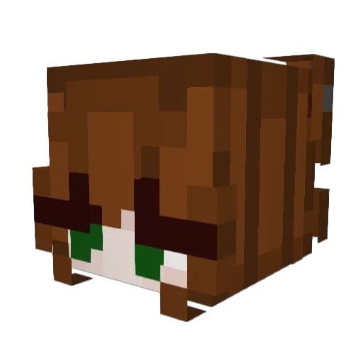 Mari_fe Minecraft avatar head, 3D render