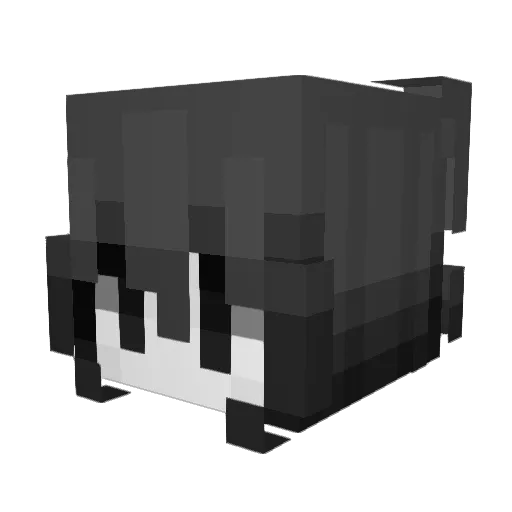Marianelyy Minecraft avatar head, 3D render
