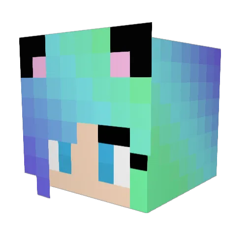 Mariannacat Minecraft avatar head, 3D render