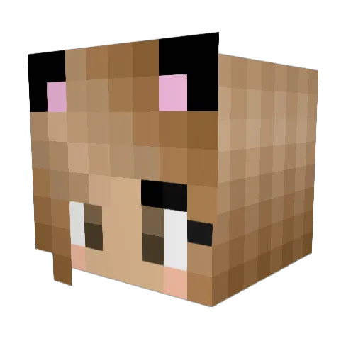 MarieL1909 Minecraft avatar head, 3D render
