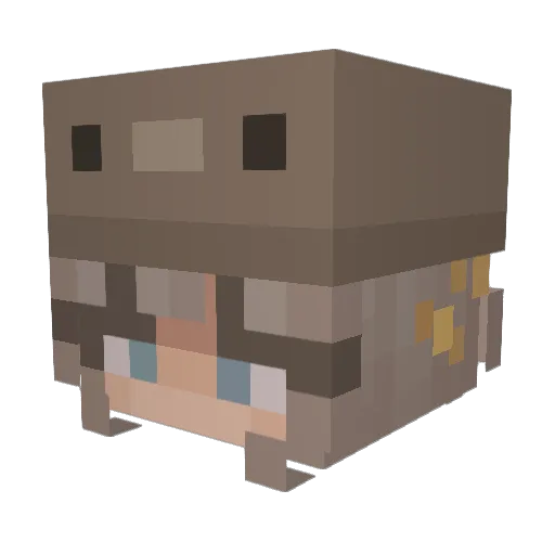 Marie__2009 Minecraft avatar head, 3D render