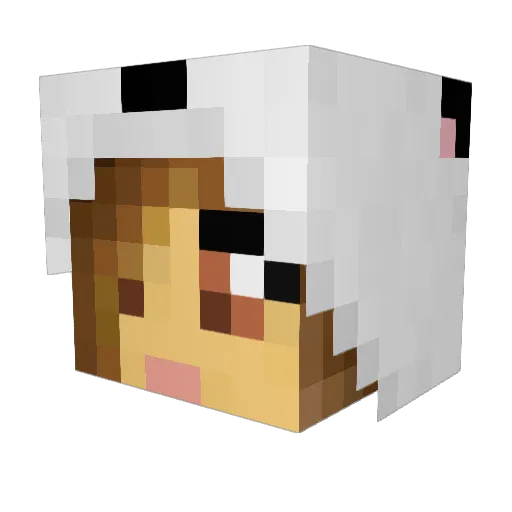 Mariell__Pus Minecraft avatar head, 3D render