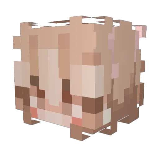 Marietss Minecraft avatar head, 3D render