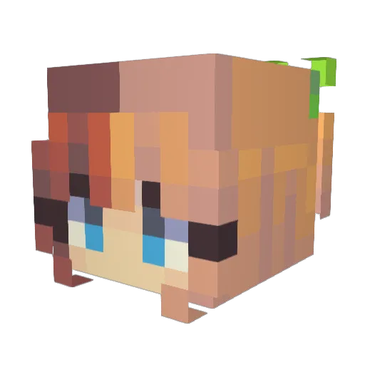 Marifg13 Minecraft avatar head, 3D render