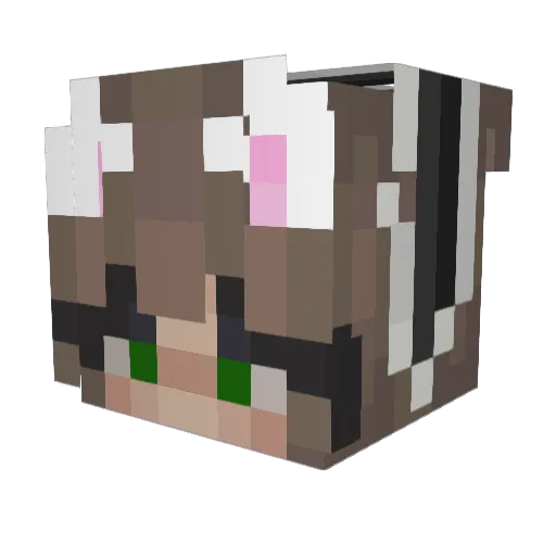 Marijst_xox Minecraft avatar head, 3D render