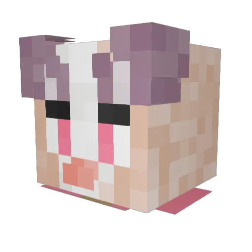 MarijuanaLlama Minecraft avatar head, 3D render