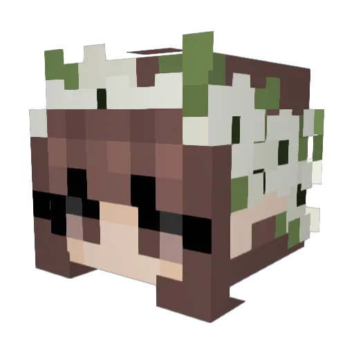MarikaDaria Minecraft avatar head, 3D render