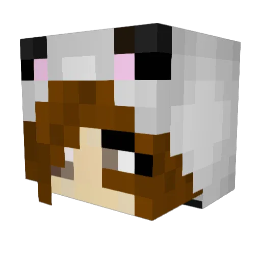 Marilu_25 Minecraft avatar head, 3D render