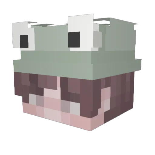 MarinPhrog Minecraft avatar head, 3D render