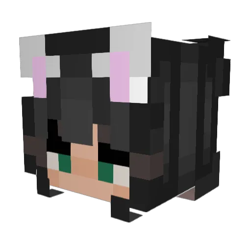 Marina13 Minecraft avatar head, 3D render