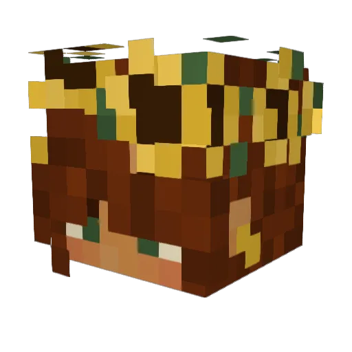 Marinequeen Minecraft avatar head, 3D render