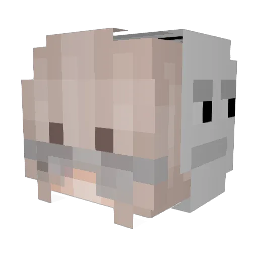 Marinq Minecraft avatar head, 3D render