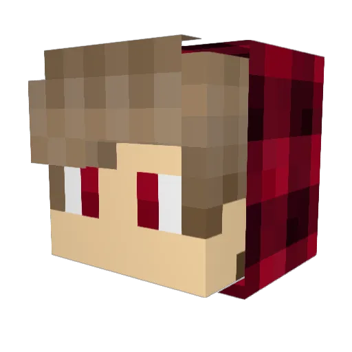 Mario2503 Minecraft avatar head, 3D render