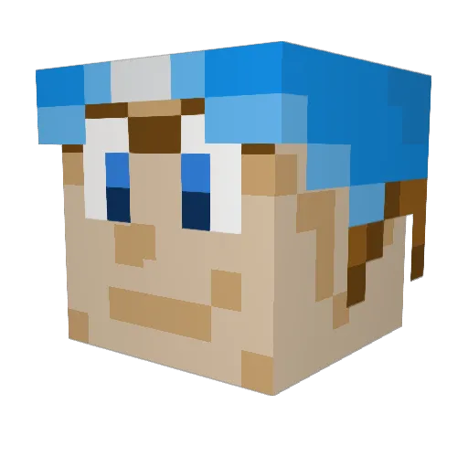 MarioEagles Minecraft avatar head, 3D render