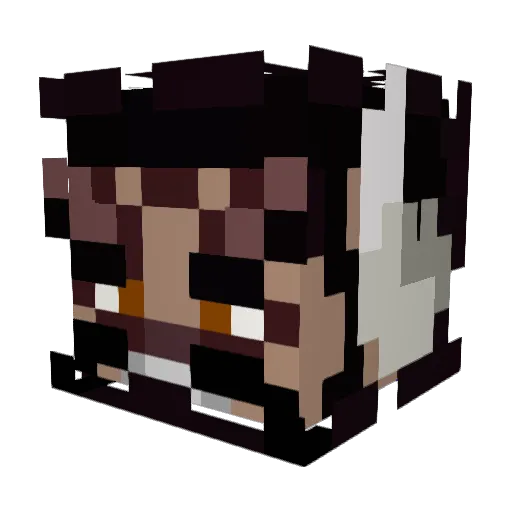 MarioGamer24 Minecraft avatar head, 3D render