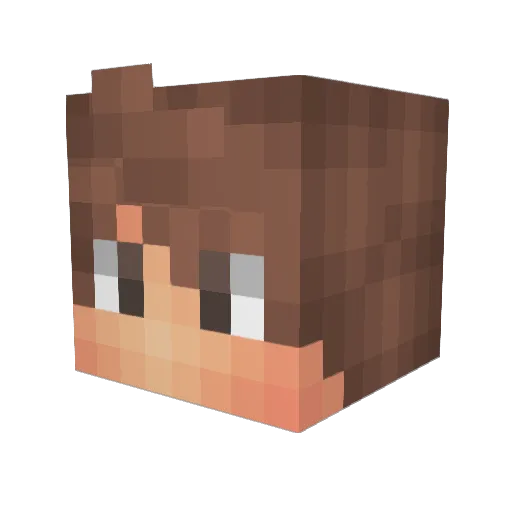 MarioLuigi2003 Minecraft avatar head, 3D render