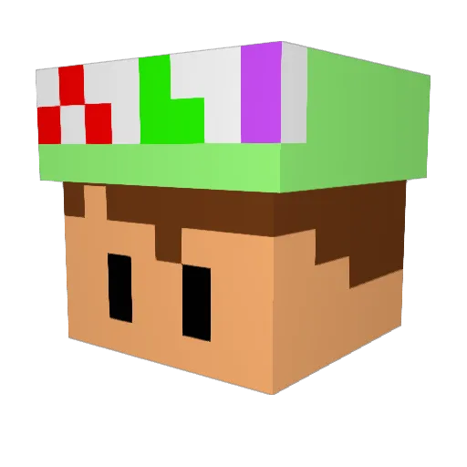 MarioLuigiFan50 Minecraft avatar head, 3D render