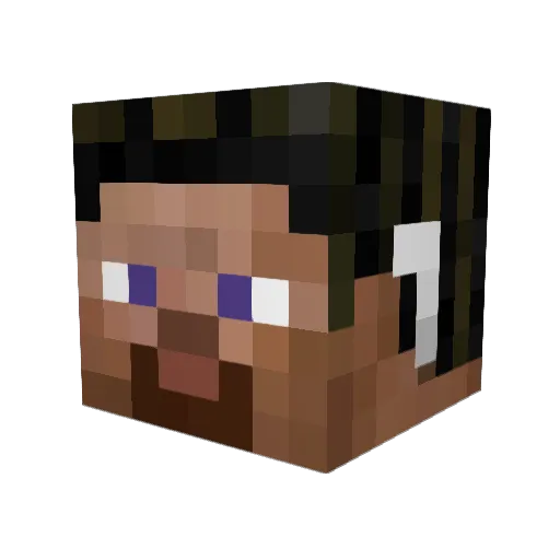 MarioRipel Minecraft avatar head, 3D render