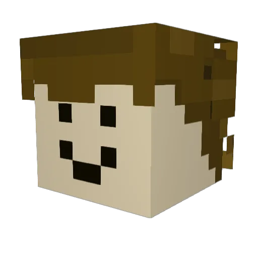 Mariocastri Minecraft avatar head, 3D render