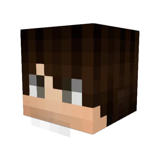 Marioccia Minecraft avatar head, 3D render