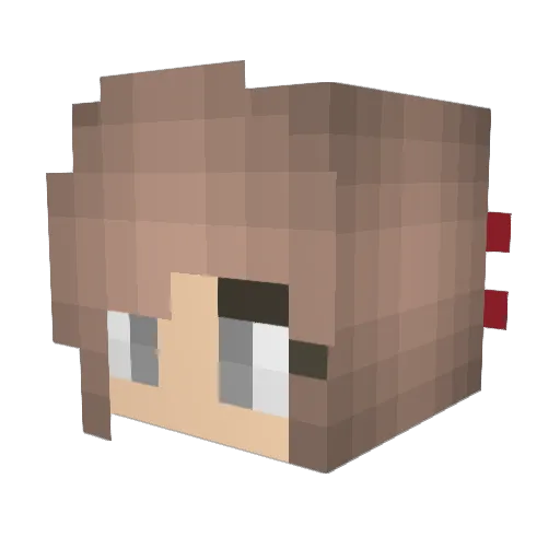 Marion81 Minecraft avatar head, 3D render