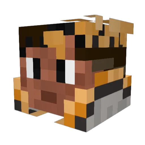 Mariposa221 Minecraft avatar head, 3D render