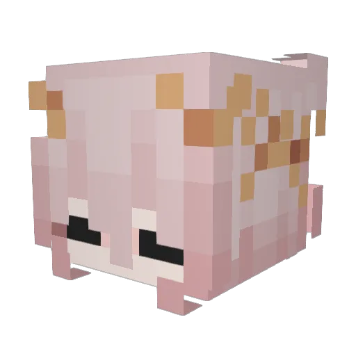 Marishy Minecraft avatar head, 3D render