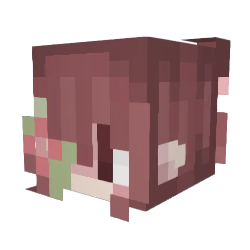 Marissa2200 Minecraft avatar head, 3D render