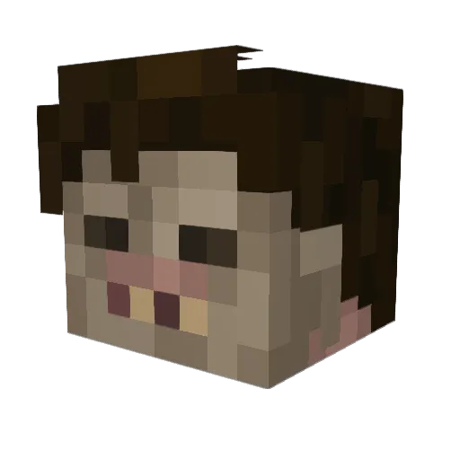 Marius35007 Minecraft avatar head, 3D render