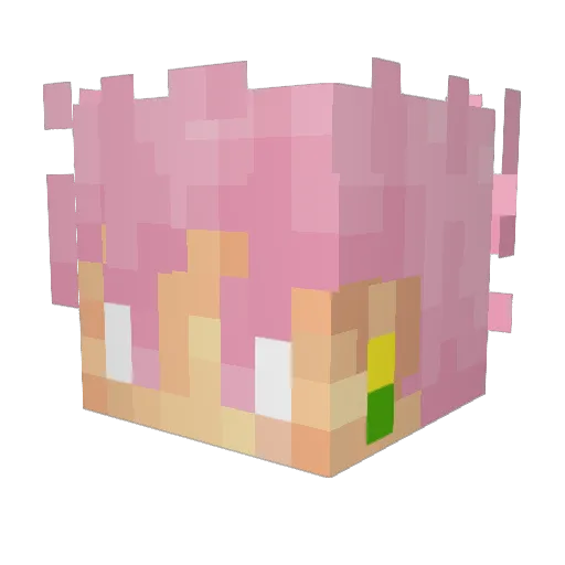 Mark1944 Minecraft avatar head, 3D render