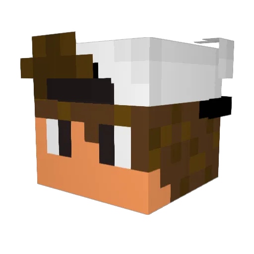 Mark779 Minecraft avatar head, 3D render