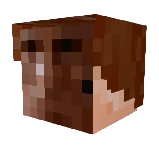 MarkFH Minecraft avatar head, 3D render