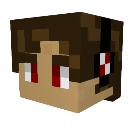 MarkMany Minecraft avatar head, 3D render