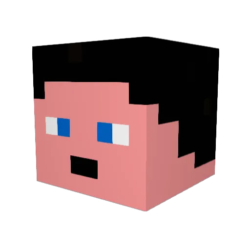 MarkO555_ Minecraft avatar head, 3D render