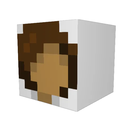 MarkWasTrash Minecraft avatar head, 3D render