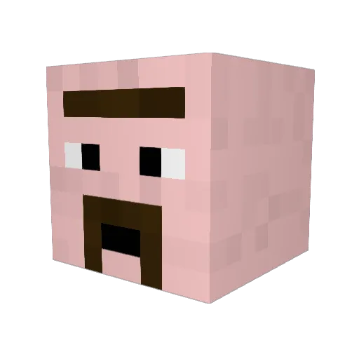 Mark_Spark1228 Minecraft avatar head, 3D render