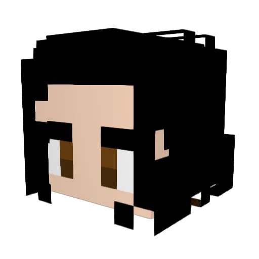 Mark_The_Best Minecraft avatar head, 3D render