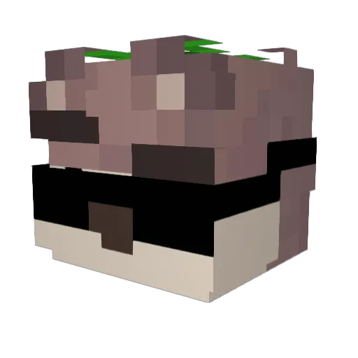 Marki92 Minecraft avatar head, 3D render