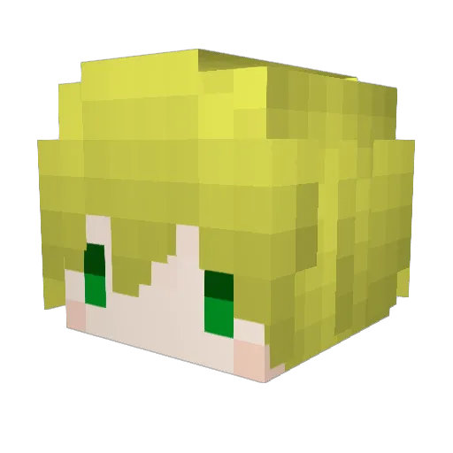 Markno25 Minecraft avatar head, 3D render