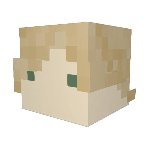 Markoau Minecraft avatar head, 3D render
