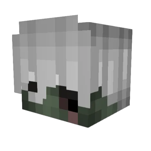 Marktleiter Minecraft avatar head, 3D render