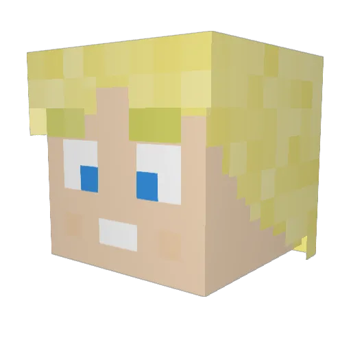 Markus4488 Minecraft avatar head, 3D render