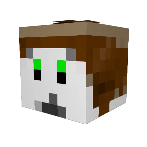 Markus5569 Minecraft avatar head, 3D render