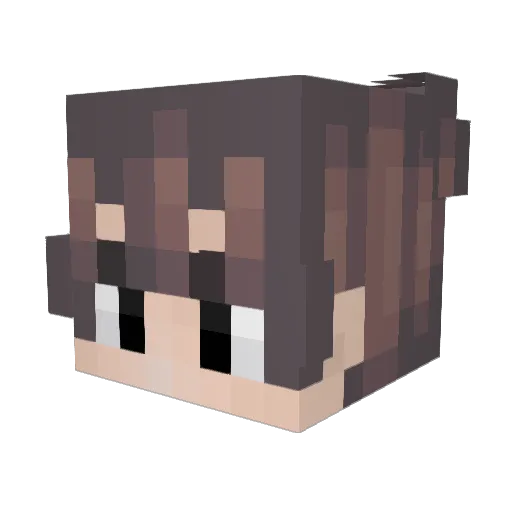 Markus7645 Minecraft avatar head, 3D render
