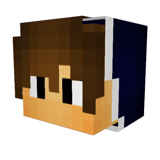 MarkusRB2010 Minecraft avatar head, 3D render