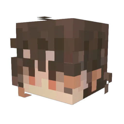 MarkvmNL Minecraft avatar head, 3D render